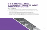 CLANDESTINE LABORATORIES AND PRECURSORS · 2017-06-21 · Clandestine laboratories—commonly referred to as clan labs—are used to covertly manufacture illicit drugs or their precursors.