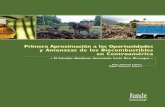 ABLA - FUNDE · 2011-05-13 · ricana en materia de biocombustibles. Estos países son El Salvador, Nicaragua, Honduras, Guatemala y Costa Rica. El libro se divide en 8 capítulos.
