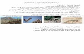 Myxomatose - الموقع الأول للدراسة في الجزائر2am.ency-education.com/uploads/2/9/2/4/2924093/sciences2...)خ ئلا ا ( خ بـع ـ ا ٠ ـمزـ ا و١٠ب