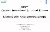 GIST Gastro Intestinal Stromal Tumor Diagnòstic ...Dèficit succinato-deshidrogenasa B, C, D ... • Márgenes de resección (distancia al más próximo y especificar) GIST- Informe