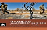 Du conﬂit à la consolidation de la paix - UNEP · 2018-08-03 · des conflits. Son but : résumer les connaissances et les expériences de terrain les plus récentes sur les liens