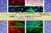 Neuronal & Glial cell Markers Page Neuronal & Glial …Neuronal & Glial cell Markers Page Neuronal & Glial cell Markers Page Beta-Tubulin Ⅲ（TUJ） Neuronal Marker 1 Choline Acetyltransferase