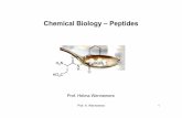 Chemical BioIogy – Peptides · Occurrence and Functions of Peptides in Nature and Every Day Life …hormones, neurotransmitters, therapeutics, artificial sweetener, … 2. Peptide