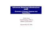 Advanced Metering Infrastructure (AMI)Advanced Metering Infrastructure (AMI) Overview of System Features and Capabilities Chris King Chief Strategy Officer eMeter Corporation September