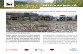 Les zones arides de caillasse, de gravier et de sable sont vivantes · 2019-02-15 · 1 Biodiversité Guide d’action WWF Suisse / Guide d’action Particuliers Les zones arides