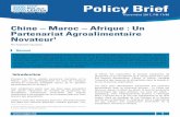 Chine – Maroc – Afrique : Un Partenariat Agroalimentaire · II. La Chine, le Maroc et la question agroalimentaire de l’Afrique L’Afrique est aujourd’hui un centre stratégique
