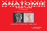 TORSTEN B. MÖLLER EMIL REIF · 2019-12-18 · reif & moeller diagnostic-network Dillingen ... sous le titre : Pocket Atlas of Sectional Anatomy. Volume III : Spine, Extremities,
