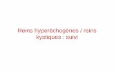 Reins hyperéchogènes / reins kystiques : suivi€¦ · Attention au lexique • Rein hyperéchogène = rein « brillant » à l’échographie, l’aspect brillant est du à la