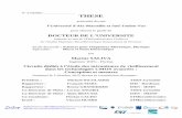 l'Université d'Aix-Marseille et Sud Toulon-Vartima.univ-grenoble-alpes.fr/publications/files/th/2015/dca_0424.pdf · Jean Baptiste, Gauthier, Giulo, Lama, Salim, Ahmed, Ajith, Elodie,