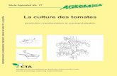 La culture des tomates - Olduoldu.fr/docs/1_Agriculture/Culture.de.la.Tomate_par... · 2010-09-13 · La culture des tomates 6 1 Introduction 1.1 Description sommaire de la tomate
