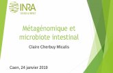 Métagénomique et microbiote intestinal · Développer des outils d’identification des microorganismes pathogènes et définir des stratégies de prévention et de lutte contre
