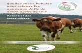 Quelles races bovines pour relever les nouveaux défis de notre · PDF file 2017-11-14 · Une divesité génétiue pou davantage de ésilience 57 Quelles vaches pou demain : faut-il