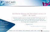Secrétariat Général des Ministères sociaux et CHSCT M Travailcgt-tefp.fr/wp-content/uploads/2018/02/Rapport-expertise... · 2018-02-21 · • la mise en place d·un numéro national