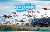 KATALOG 2018 - ENovigor.eu/download/attachment/3395/ovigor-product... · TABLE OF CONTENTS 2 PREFACE OUR PRODUCTS TEA FOR PIGEONS FEEDS NEWS 3 4 16 17 20 Immunity Hygiene Energy OviBad,