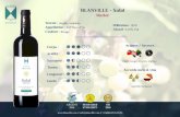 BLANVILLE - Solal · BLANVILLE - Solal Merlot 88/100 (2014) 87/100 (2017) ARGENT 2004 OR 2014 Fruits rouges et noirs, réglisse Apéritif, barbecue. Concours des Vins VALLEE DE L'HERAULT