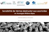 en Auvergne-Rhône-Alpes RA Apiculture...Ferré, Juan, Jeroen Van Rie, et Susan C. Macintosh. 2008. « Insecticidal Genetically Modified Crops and Insect Resistance Management (IRM)