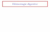 Hémorragie digestive 3D ULB/17-02-27... · 2017-02-28 · Période aiguë (6-12 1ères h) 1°) arrêt du saignement actif soit médicaments : - octréotide (SandostatineR , dérivé