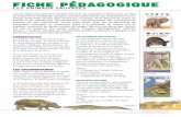 Fiche Quentin Blake Folio Benj - Cercle Gallimard de l'enseignement · 2009-06-22 · de Pittau et Gervais L’énorme crocodile de Roald Dahl LA LECTURE EN RÉSEAU L'album est une