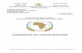 COMMISSION DE L'UNION AFRICAINE · EX.CL/928(XXVIII) iii Page 6 Sous-comité du COREP sur la réforme structurelle, 21 et22 décembre 2015 et 5, 6 et 11 janvier 2016, Commission de