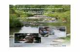 Photos de la page couverture - agrireseau.net · Photo principale : Rivière Saint-Zéphirin près de l’embouchure (MDDEP). Photos en médaillon : Échantillonnage pour l’analyse