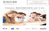 Ecole de Commerce Strasbourg / du BAC+2 au BAC+5 - … · 2018-09-14 · C) Épreuve type PFA : projet de fin d’année • Mémoire écrit : coef 2 • Soutenance orale : coef 2