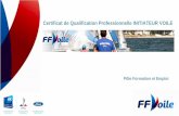 Certificat de Qualification Professionnelle INITIATEUR VOILE · 2020-02-11 · Brevet de capitaine 200 et tous certificats, brevets ou unités de valeur inscrits en annexes de l’Arrêté