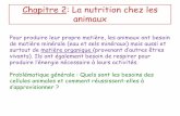 Chapitre 2: La nutrition chez les animauxalexandre.artus.free.fr/cours2017/cinquiemes2017... · Chez les animaux, le tube digestif comprend l’ensemble des organes traversés par