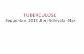 TUBERCULOSE - Respir-Sud€¦ · Tuberculose » pour 2015, à savoir réduire de moitié la prévalence et la mortalité de la tuberculose par rapport aux valeurs de référence de
