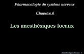 Les anesthésiques locaux - UCLouvain · pharmacologiques et ne peut rediffuser hors de la cellule •La vitesse d’installation de l’effet est liée à la liposolubilité et au