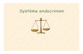 Système endocrinien - Cégep de Rivière-du-Loupnadcou.cegep-rdl.qc.ca/anatophysio2/pres/endopptx.pdf · 2010-08-18 · Système endocrinien . Comparaison des systèmes Nerveux et