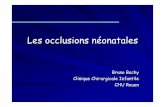 Les occlusions néonatales · 2014-06-09 · Les occlusions néonatales Bruno Bachy Clinique Chirurgicale Infantile CHU Rouen. Limites du sujet Période néonatale –Diagnostic anténatal