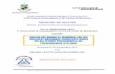 En co-diplômation entre L’Université d’Antananarivo et l ...biblio.univ-antananarivo.mg/pdfs... · III.1.6 Données toxicologiques et ecotoxicologiques sur les Pesticides.....