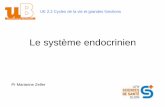 Le système endocrinienf2school.com/wp-content/uploads/2020/01/Endocrinologie-Cours-08.pdfLe système endocrinien UE 2.2 Cycles de la vie et grandes fonctions Pr Marianne Zeller .