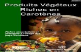 PRODUITS VEGETAUX RICHES EN CAROTENES · Ce manuel a ØtØ initialement conçu dans le cadre d™une approche alimentaire de la lutte contre la carence en vitamine A, qui s™inscrit