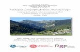 MEMOIRE DE RECHERCHE FINAL BRGMrgf.brgm.fr/sites/default/files/upload/documents/...Anthony Cloix ½ Résumé 2 Résumé A detailed study of two north-Pyrenean breccia bodies at macro