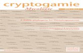 cryptogamiesciencepress.mnhn.fr/sites/default/files/articles/hd/... · 2019-04-24 · cryptogamie MMycologieycologie A stable phylogeny for Dactylosporaceae 2019 40 3 aar t.. 40 (3)