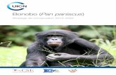 Bonobo (Pan paniscus - IUCN · 2016-05-19 · les activités de l'UICN. L’Union soutient la recherche scientifique, gère des projets dans le monde entier et réunit les gouvernements,