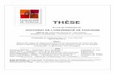 Manuscrit Anh Tuan 04-12 definitivethesesups.ups-tlse.fr/2166/1/2013TOU30196.pdf · Mines et Géologies au Vietnam, Thay Truong Anh Kiet, Thay Phan Van Loc, Le Van Huong, Thay Pham