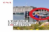 RAPPORT ANNUEL 2017 · dans le département du Rhône, à Champ Bayon. Remise en exploitation du groupe G2 de la centrale hydroélectrique de Chancy-Pougny (Suisse) après 8 mois