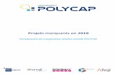 Projets marquants en 2018©-2018-POLYCAP … · Le groupement Polycap est partenaire de l’Institut Social de Lille (université catholique de Lille) qui porte ce projet. D’autes