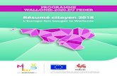 PROGRAMME WALLONIE-2020.EU FEDEReurope.wallonie.be/sites/default/files/RESUMÉ CITOYEN 2018_web.pdf · éclairage nocturne, à la fois sécurisant, intelligent et basse consommation.