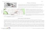 Piton Chisny - univ-reunion.frexplosive activity at Piton de la Fournaise volcano. Chapitre 8 in: Active volcanoes of the Southwest Indian Ocean: Piton de la Fournaise and Karthala,