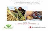 Hausse des prix des denrées alimentaires au Sahel : l ... · Mali.v Elle décrit brièvement les effets de la flambée des prix sur les ménages sahéliens, puis interroge les facteurs