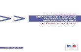 SEMAINE DE L’ÉGALITÉ PROFESSIONNELLE FEMMES-HOMMESfemmes.gouv.fr/wp-content/uploads/2015/10/Dossier... · La loi du 27 janvier 2011 impose la féminisation des instances dirigeantes