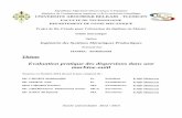 Option - Tlemcendspace.univ-tlemcen.dz/bitstream/112/3860/1/msgm8.pdf · 2016-10-31 · République Algérienne Démocratique et Populaire Ministère de l’enseignement supérieur