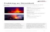 Trekking au Stromboli - VolcanoDiscovery · PDF file Trekking au Stromboli Excursions en groupe ou avec guide privé pour observer le volcan Stromboli Dernière actualisation: 20.