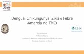 Dengue Chikungunya Zika e Febre Amarela no TMOsbtmo2018.com.br/wp-content/uploads/2018/08/02-08-14H40...2018/08/02  · Dengue, Chikungunya, Zika e Febre Amarela no TMO Marcia Garnica