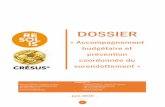 DOSSIER - Resolis · 3 1. Compte-rendu de la Rencontre du 13/04/2016 RESOLIS, en partenariat avec CRESUS, a rassemblé une cinquantaine d’acteurs pour encourager le partage d’expériences