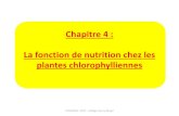 Chapitre 4 : La fonction de nutrition chez les plantes ...col21-henry-berger.ac-dijon.fr/IMG/pdf/chapitre4-2.pdfJ MASSON - 2017 - Collège Henry Berger J MASSON - 2017 - Collège Henry
