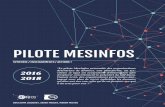 PILOTE MESINFOSmesinfos.fing.org/wp-content/uploads/2018/06/LivrableA5_Synthese... · dans les plus grandes entreprises et administrations, en passant par les interrogations sur les